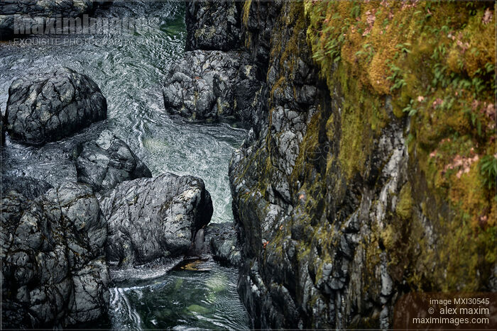 Shiny rocky river bed and mossy banks of the Englishman Vancouver Island nature scenery Stock photo of Shiny rocky river bed and mossy banks of the Englishman Vancouver Island nature scenery Buy commercial use license at MaximImages