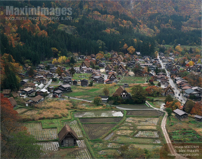 Shirakawa-go Japanese historic village atmospheric aerial autumn landscape with thatched roof houses and rice fields Stock photo of Shirakawa-go Japanese historic village atmospheric aerial autumn landscape with thatched roof houses and rice fields Buy commercial use license at MaximImages