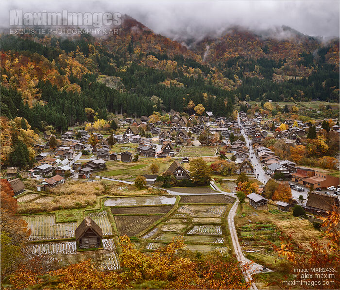 Shirakawago Japanese village in a beautiful autumn aerial scenery Gassho-style farmhouses and rice fields in mountains Stock photo of Shirakawago Japanese village in a beautiful autumn aerial scenery Gassho-style farmhouses and rice fields in mountains Buy commercial use license at MaximImages