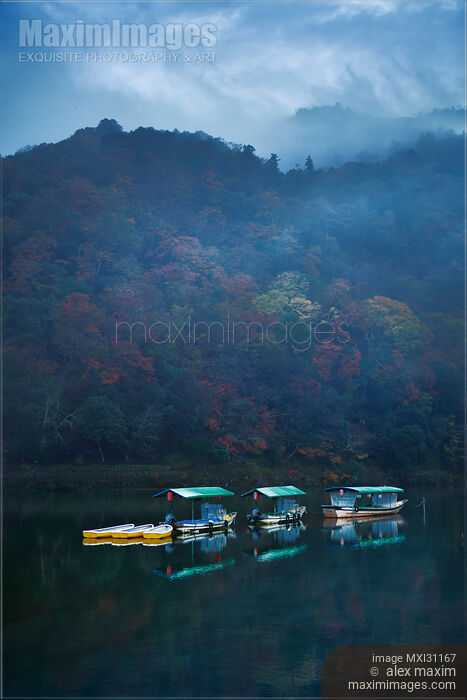 Stock photo of Sightseeing boats in misty autumn morning scenery on Katsura River Kyoto Buy commercial use license at MaximImages