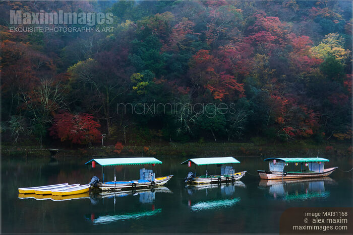 Stock photo of Sightseeing pleasure cruise boats on Katsura River Arashiyama Kyoto Buy commercial use license at MaximImages