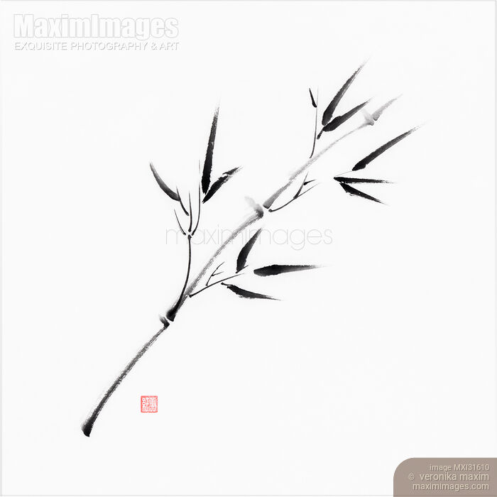 Single branch of young bamboo with leaves sumie ink painting Stock image of Single branch of young bamboo with leaves sumie ink painting Buy commercial use license at MaximImages
