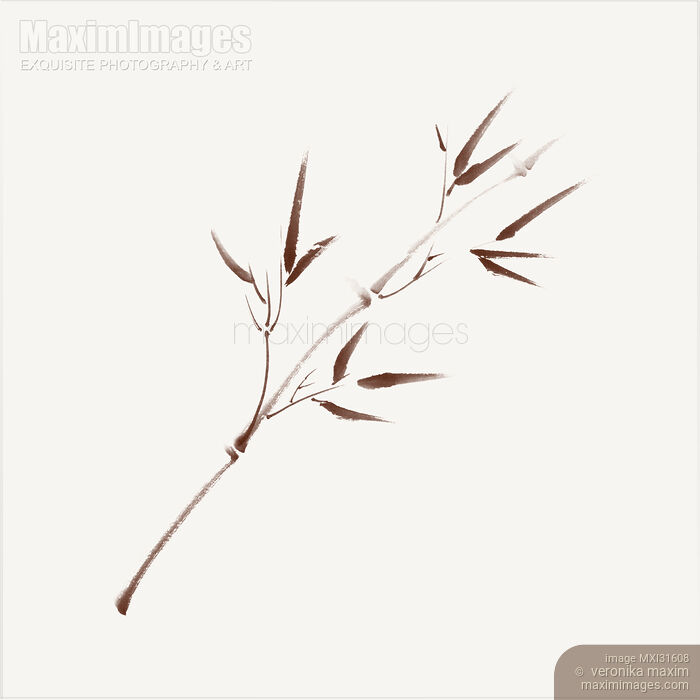 Stock image of Single brown branch of young bamboo with leaves  illustration in beige and brown Buy commercial use license at MaximImages