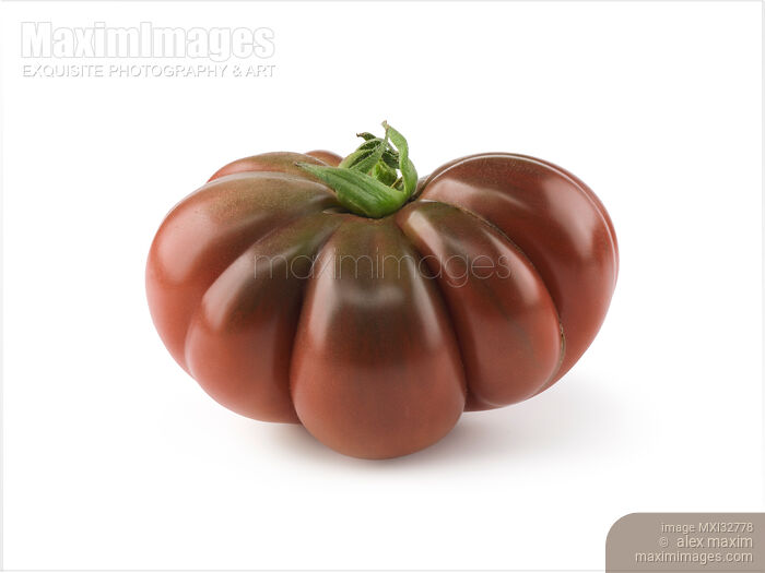 Stock photo of Single dark red organic heirloom tomato Black Krim or Crimean Black isolated on white Buy commercial use license at MaximImages