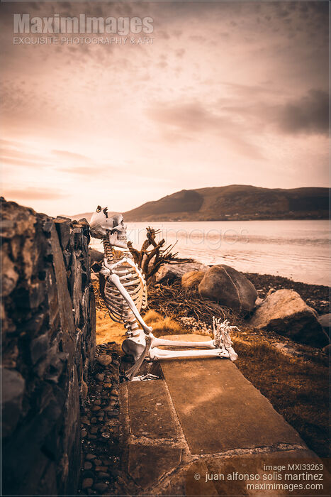 Stock photo of Skeleton sitting on a bench by the sea enjoying sunset in Carlingford Ireland Buy commercial use license at MaximImages