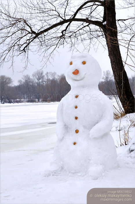 Stock photo of Smiling Snowman Buy commercial use license at MaximImages