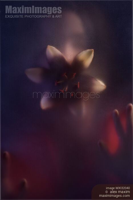 Stock photo of Snake woman with a scary tentacle like lily flower in her mouth behind a hazy glass door Buy commercial use license at MaximImages