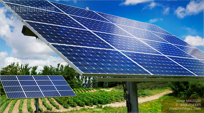 Stock photo of Solar panels as alternative energy source on a farm Buy commercial use license at MaximImages