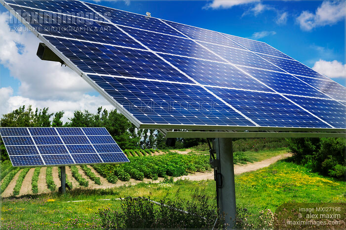 Stock photo of Solar panels on a farm Buy commercial use license at MaximImages