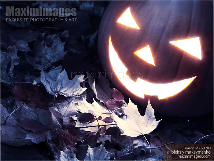 Stock photo of Spooky Jack-o-lantern on Fallen Leaves Buy commercial use license at MaximImages