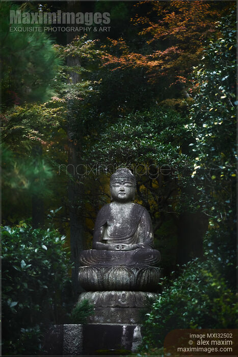 Stone Buddha statue in garden of Ryoanji Kyoto Stock photo of Stone Buddha statue in garden of Ryoanji Kyoto Buy commercial use license at MaximImages