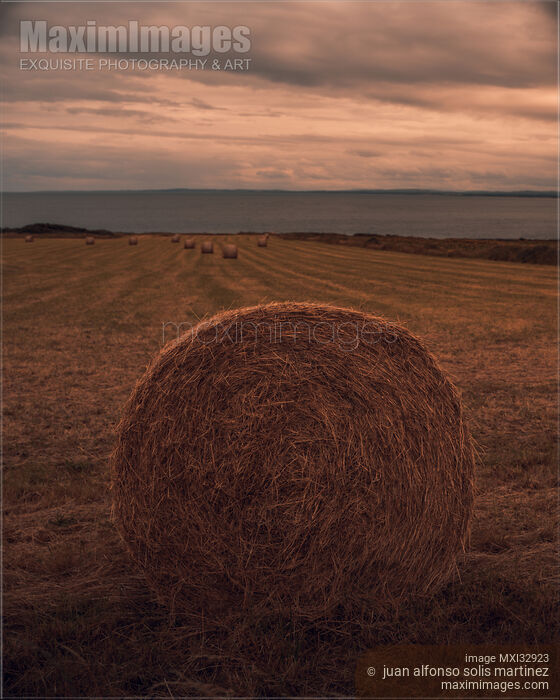 Stock photo of Straw bale in a dramatic countryside sunset scenery of farm field in Ireland Buy commercial use license at MaximImages
