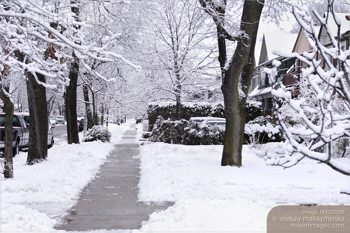Stock photo of Street covered with snow Buy commercial use license at MaximImages