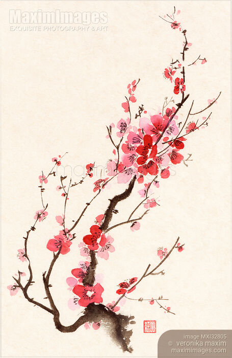 Stock image of Sumi-e ink painting of blooming beautiful plum blossom or sakura branch with red flowers Buy commercial use license at MaximImages