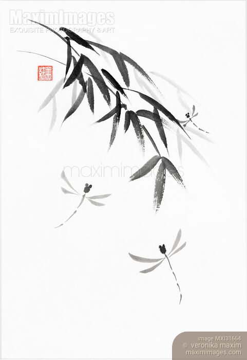 Sumi-e ink painting of three dragonflies flying happily with bamboo branches Stock image of Sumi-e ink painting of three dragonflies flying happily with bamboo branches Buy commercial use license at MaximImages