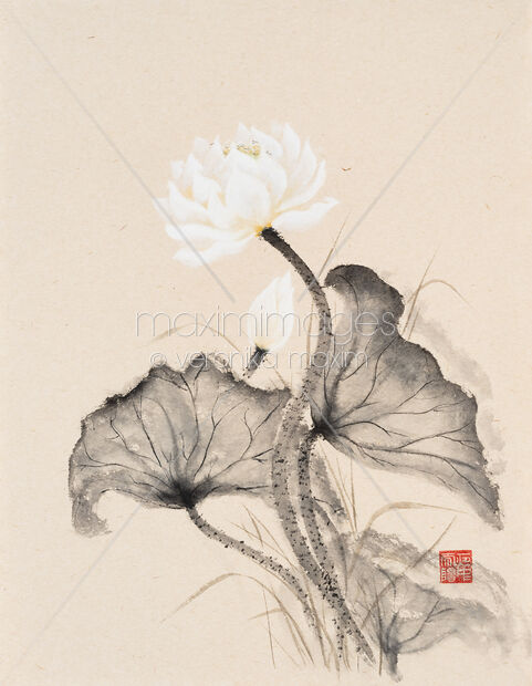 Sumi-e painting of a blooming white lotus flower and a bud with leaves Original Artwork of Sumi-e painting of a blooming white lotus flower and a bud with leaves Buy this Painting at MaximImages