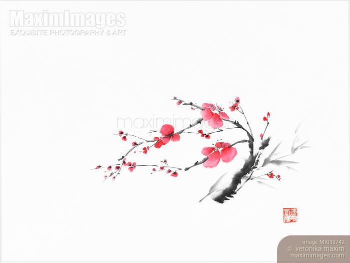 Sumi-e painting of a small plum blossom branch with red flowers Stock image of Sumi-e painting of a small plum blossom branch with red flowers Buy commercial use license at MaximImages