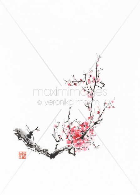 Sumi-e painting of plum blossoms sakura tree branch with pink flowers Original Artwork of Sumi-e painting of plum blossoms sakura tree branch with pink flowers Buy this Painting at MaximImages