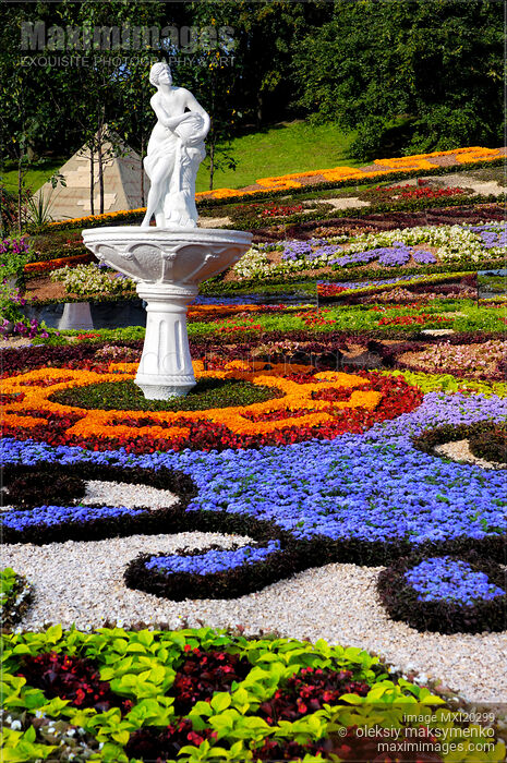 Stock photo of Summer garden beautiful flower design Buy commercial use license at MaximImages