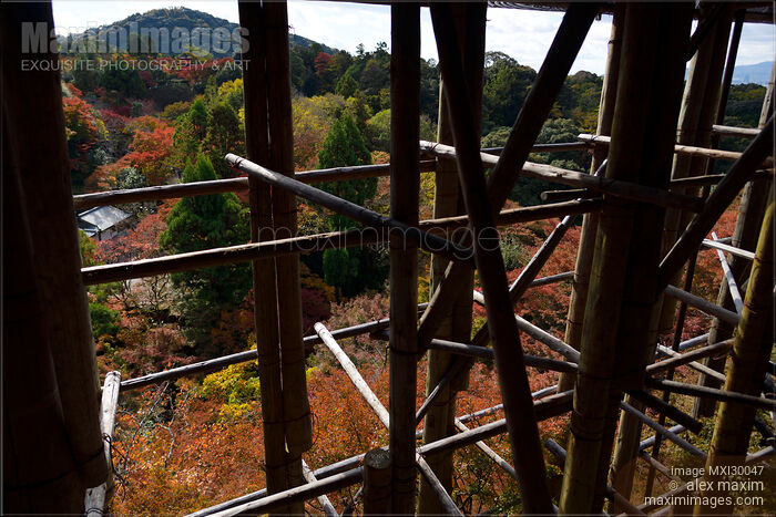 Tall supporting pillars of Kiyomizu-dera temple Stock photo of Tall supporting pillars of Kiyomizu-dera temple Buy commercial use license at MaximImages