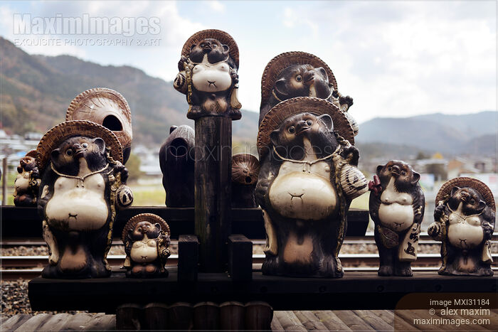 Stock photo of Tanuki Cute Japanese raccoon dog statues in Japan Buy commercial use license at MaximImages