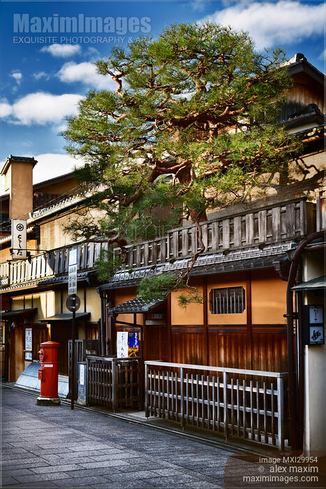 Stock photo of Tea house with pine tree above store front in Gion district Kyoto in the morning Buy commercial use license at MaximImages