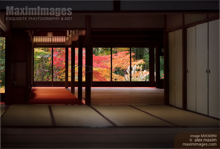 Stock photo of Tenju-an Japanese Temple hall interior with a view on autumn nature behind the windows Buy commercial use license at MaximImages