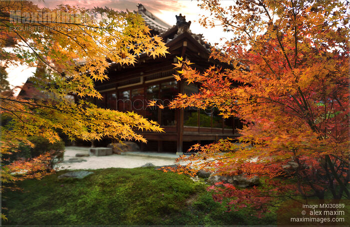 Tenjuan Japanese Temple hall in beautiful autumn scenery in Kyoto Stock photo of Tenjuan Japanese Temple hall in beautiful autumn scenery in Kyoto Buy commercial use license at MaximImages
