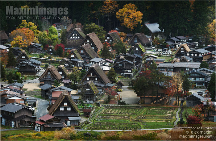Thatched roof Gassho houses at Shirakawa-go traditional Japanese village Aerial autumn scenery Stock photo of Thatched roof Gassho houses at Shirakawa-go traditional Japanese village Aerial autumn scenery Buy commercial use license at MaximImages