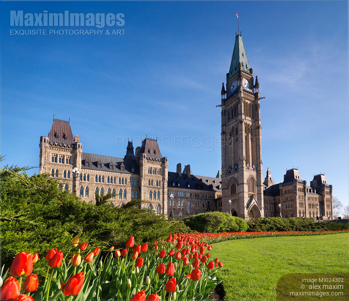 The Parliament Building during tulip festival in Ottawa Canada Stock photo of The Parliament Building during tulip festival in Ottawa Canada Buy commercial use license at MaximImages