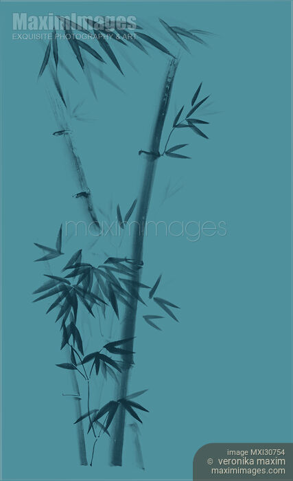 Three bamboo stalks with leaves artistic oriental style design illustration on sky blue background Stock image of Three bamboo stalks with leaves artistic oriental style design illustration on sky blue background Buy commercial use license at MaximImages