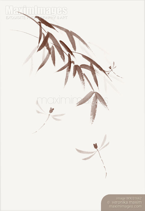 Three dragonflies flying with bamboo branches artistic sumi-e illustration Stock image of Three dragonflies flying with bamboo branches artistic sumi-e illustration Buy commercial use license at MaximImages