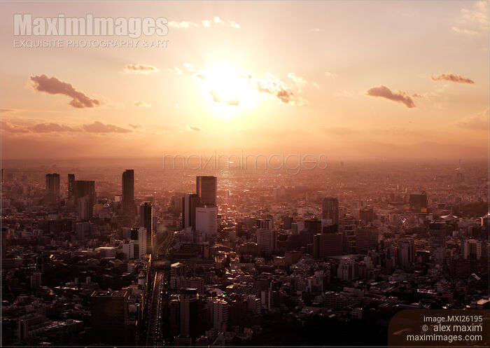 Stock photo of Tokyo city buildings cityscape lit with bright sunset Buy commercial use license at MaximImages