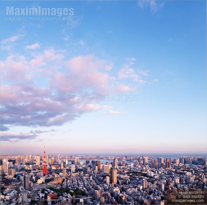 Tokyo city scenery under blue sky Stock photo of Tokyo city scenery under blue sky Buy commercial use license at MaximImages