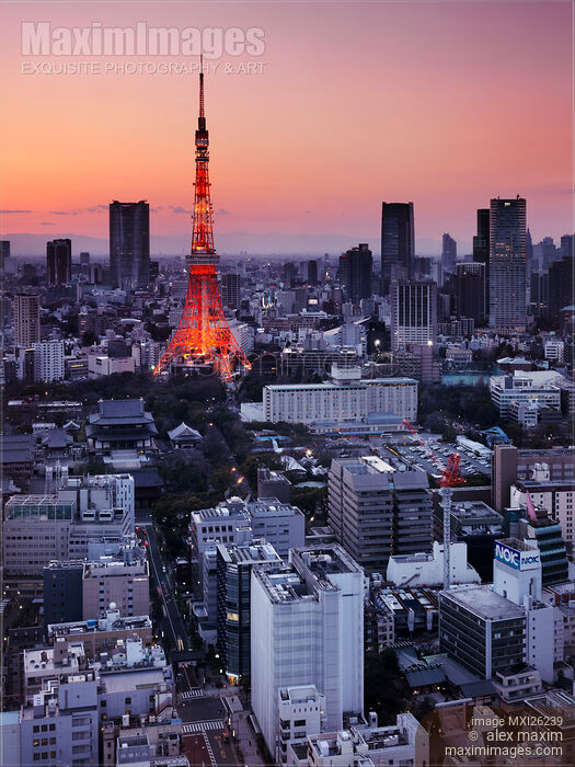 Stock photo of Tokyo tower during sunset Buy commercial use license at MaximImages