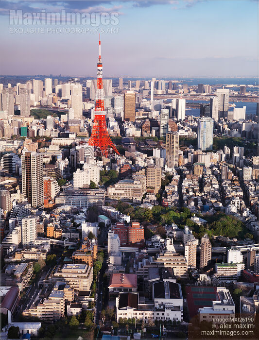Stock photo of Tokyo Tower in city landscape Buy commercial use license at MaximImages