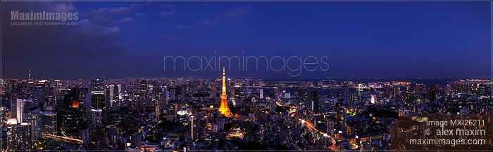 Stock photo of Tokyo tower in city panoramic nighttime scenery Buy commercial use license at MaximImages