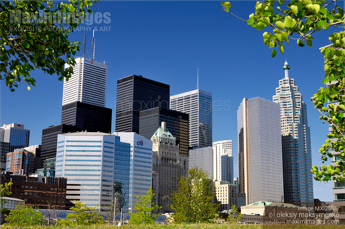 Stock photo of Toronto Downtown Skyline Buy commercial use license at MaximImages