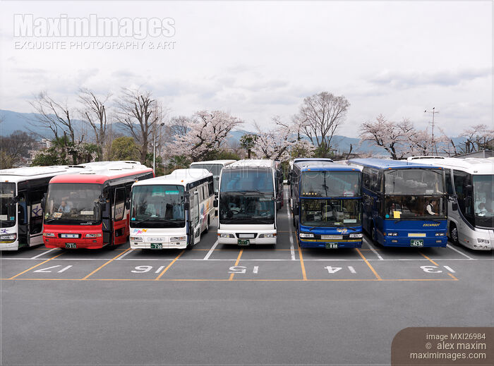 Tour buses in Kyoto Japan Stock photo of Tour buses in Kyoto Japan Buy commercial use license at MaximImages