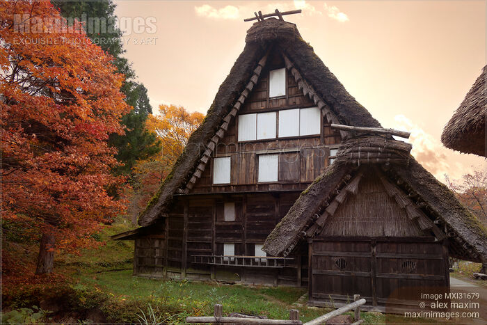 Stock photo of Traditional Japanese Gassho-style rural house with a thatched roof at Hida Folk Village Japan Buy commercial use license at MaximImages