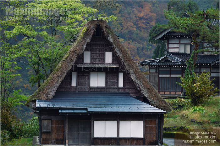 Stock photo of Traditional Japanese Gassho-style rural house with thatched roof in Ainokura Japan Buy commercial use license at MaximImages