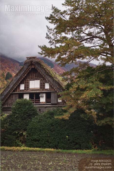 Traditional Japanese Gassho-zukuri style house at Shirakawa-go village Japan Stock photo of Traditional Japanese Gassho-zukuri style house at Shirakawa-go village Japan Buy commercial use license at MaximImages