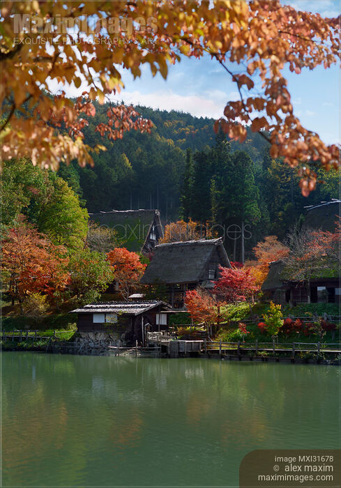 Stock photo of Traditional Japanese Gasshou style rural houses at Hida Folk Village in beautiful autumn scenery Buy commercial use license at MaximImages