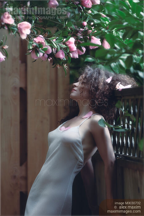 Tranquil sensual portrait of a beautiful woman under a pink camellia with fallen flower petals in her long curly hair and on her chest Stock photo of Tranquil sensual portrait of a beautiful woman under a pink camellia with fallen flower petals in her long curly hair and on her chest Buy commercial use license at MaximImages