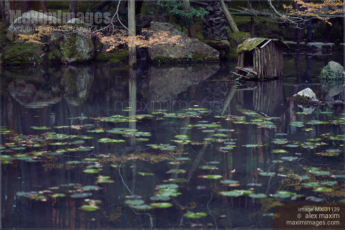 Tranquil Wabi-Sabi scenery at Tenjuan Temple Japanese Zen pond garden Stock photo of Tranquil Wabi-Sabi scenery at Tenjuan Temple Japanese Zen pond garden Buy commercial use license at MaximImages