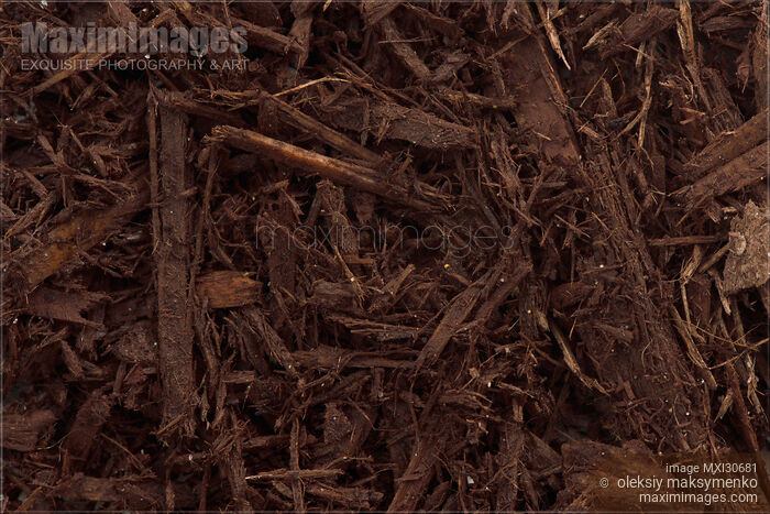 Stock photo of Tree bark mulch closeup texture background Buy commercial use license at MaximImages