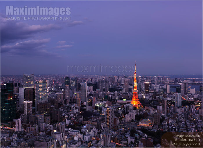 Stock photo of Twilight scenery of Tokyo tower and cityscape Buy commercial use license at MaximImages