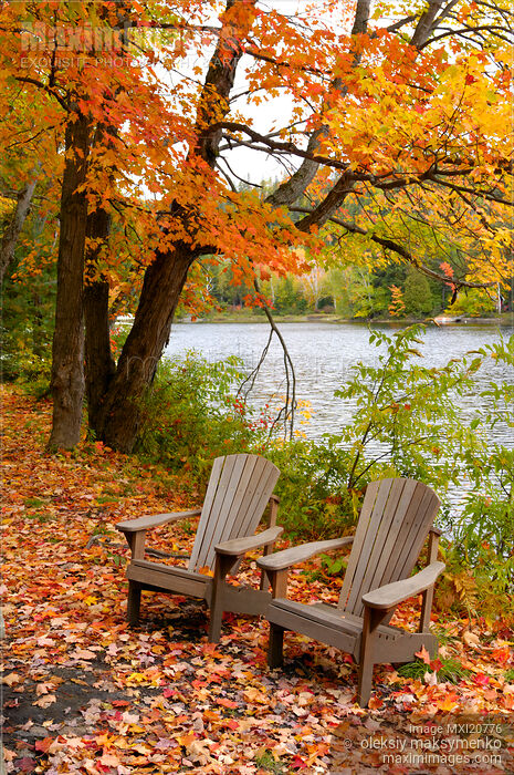 Stock photo of Two Armchairs in the Nature Buy commercial use license at MaximImages