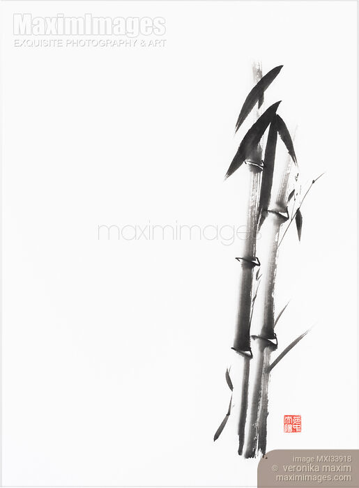 Stock image of Two bamboo stalks and leaves. Minimalist Zen style abstract fine art painting on white. Buy commercial use license at MaximImages