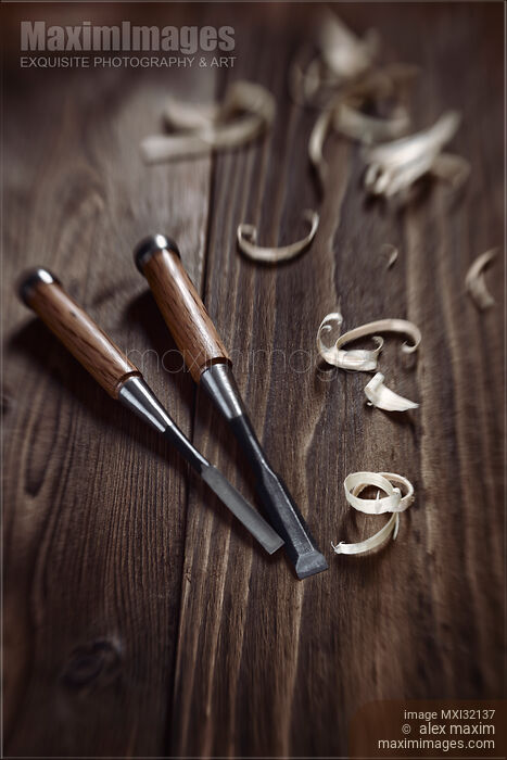 Stock photo of Two chisels and curly wood shavings artistic carpentry still life Buy commercial use license at MaximImages